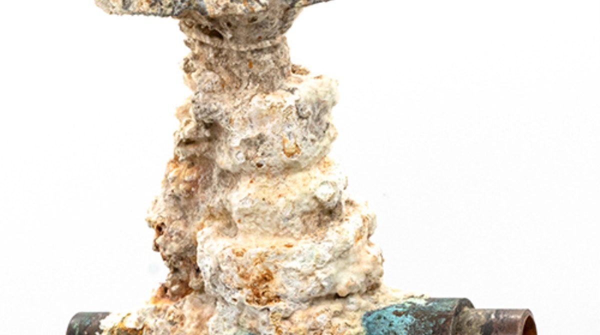 Plumbing fitting encrusted with hard water scale