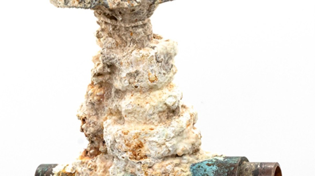 Plumbing fitting encrusted with hard water scale